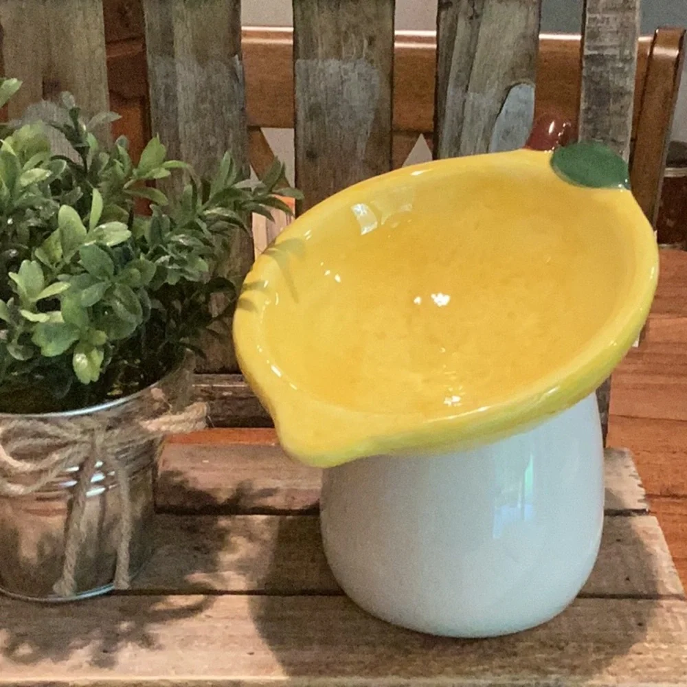 Lemon Pet Bowl